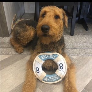 Meet your Posher, Staci